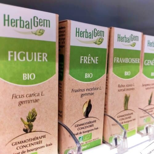 Gemmothérapie : Macérat de bourgeons de figuier HerbalGem
