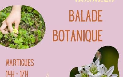Balade Botanique avec Goguettes sauvages
